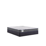 Sealy Paisley Foam Mattress