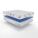 Sealy Second & Park Foam Mattress