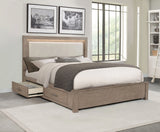 Kenora Panel Platform Storage Bed with LED Lighting
