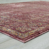 Payas Red 5' X 7' Area Rug