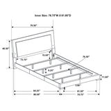 Felicity Panel Bed with LED Lighting