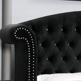 Zohar Bed