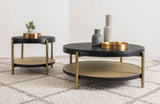 Arini Coffee Table