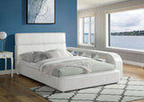Vodice Bookcase
