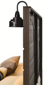 Carter Queen Platform Bed In Brown