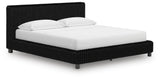 Zuraleus Bed