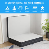 Hollyhock 3" Twin Tri-Fold Memory Foam Topper