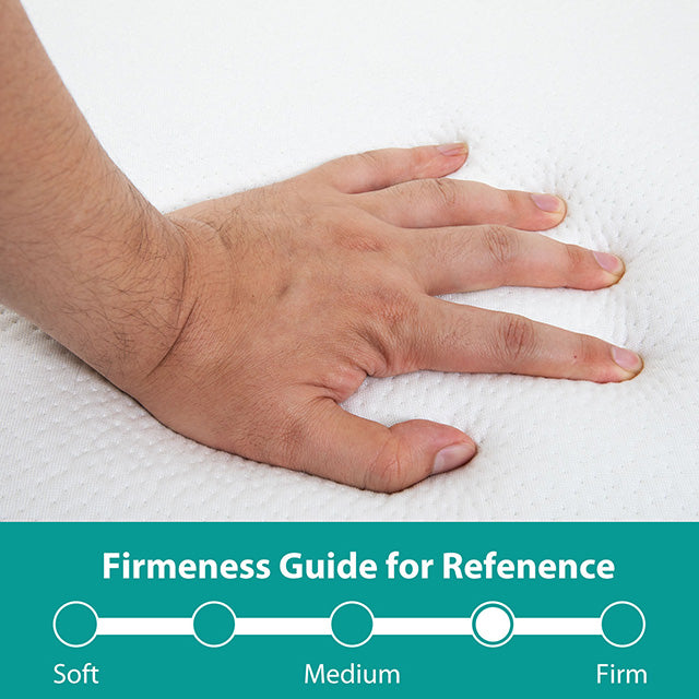 Hollyhock 4" Queen Tri-Fold Memory Foam Topper