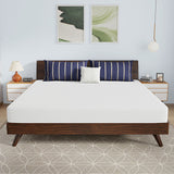 Nasturtium 8" E.King Bamboo Charcoal Infused Memory Foam