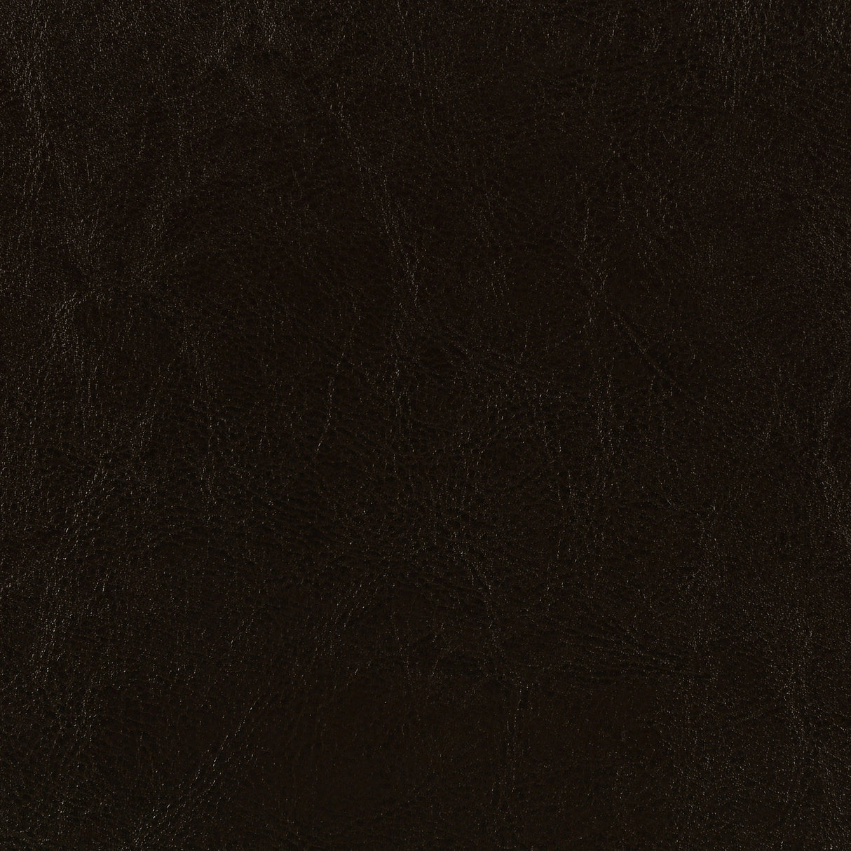 Dorian Panel Bed