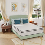Catmint 12" Innerspring Mattress