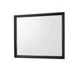 Crown Mark Micah Mirror in Black image