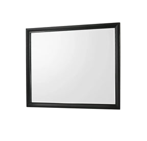 Crown Mark Micah Mirror in Black image