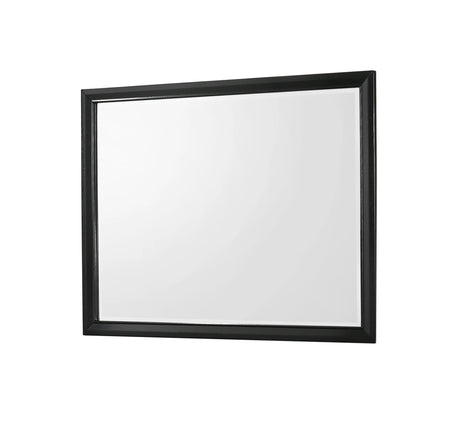 Crown Mark Micah Mirror in Black image