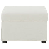 Winter Storage Ottoman