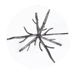 Sarna Side Table